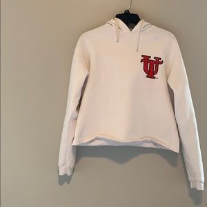University of Tampa cropped sweatshirt